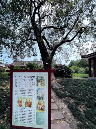 Ancient camphor tree behind Bagua Pavilion, filming location for 1986 Journey to the West