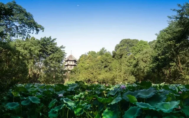 Wuhou Shrine Itinerary: Du Fu + Jinli