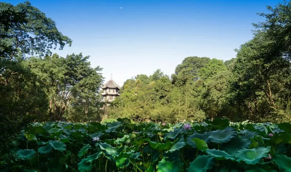 Lunch area near Du Fu Thatched Cottage, part of a wuhou shrine itinerary