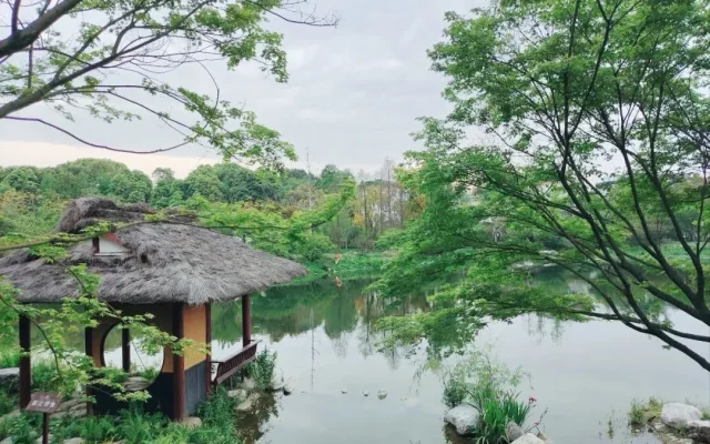 Huanhuaxi Park: Free 5A Park in Chengdu