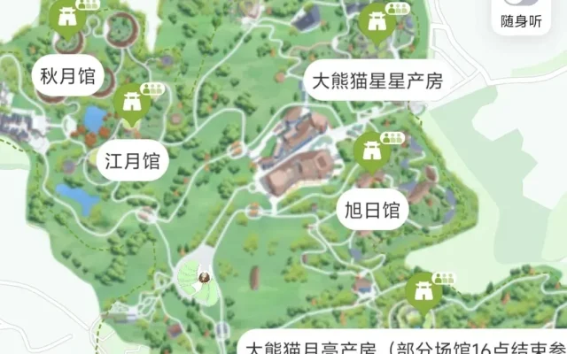 Chengdu Panda Base Guide: Visitor Tips