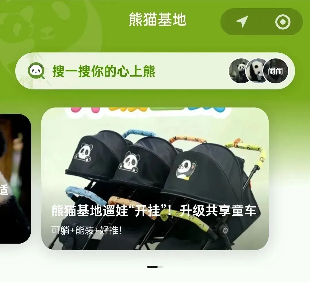 Searching a panda's name in the official Chengdu panda base app for its location.