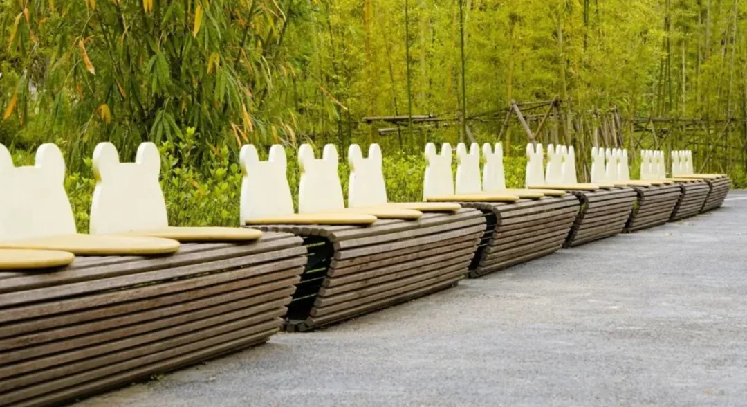 Shaded rest area with benches among the bamboo at the Chengdu Panda Base.