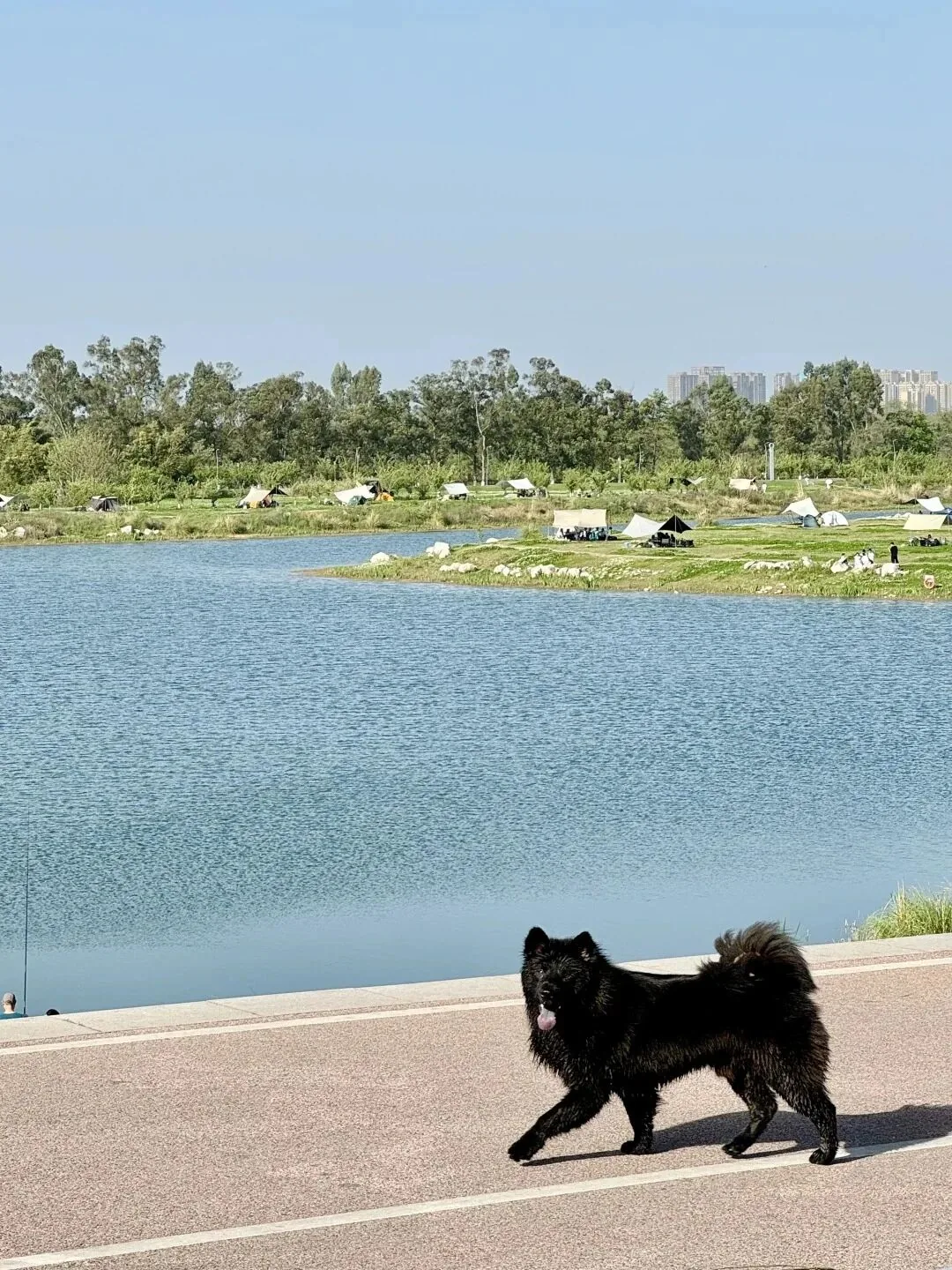Family enjoying a picnic at Qinglong Lake Wetland Park after visiting Ming Shu Prince Tomb