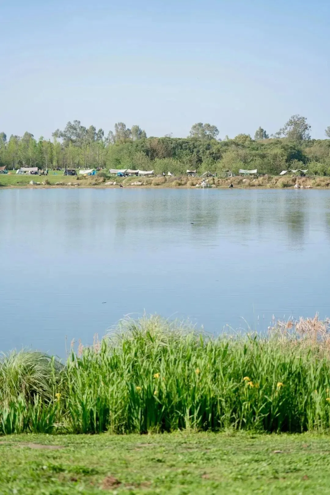 Cyclist riding along the lakeshore of Qinglong Lake Wetland Park in Chengdu