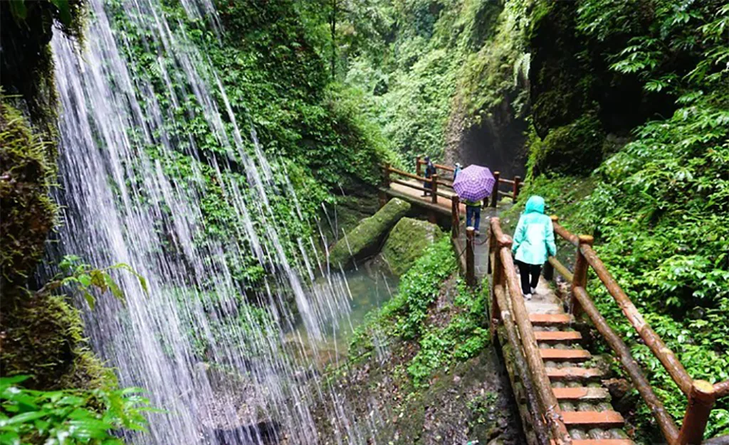 Back Mountain lush hiking path with streams for a Qingcheng Mountain day trip