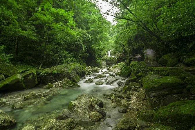 Dujiangyan irrigation system paired with a Qingcheng Mountain front side visit