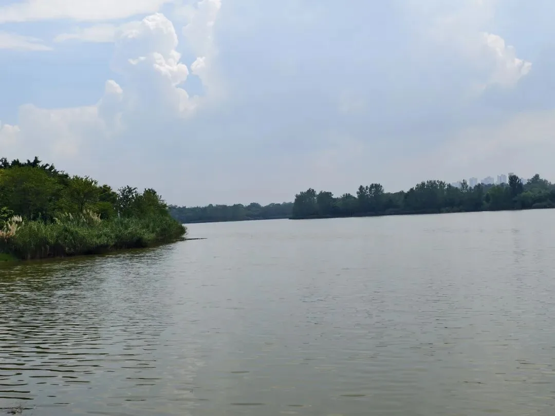 Qinglong Lake Park Phase 1 and Phase 2 areas with distinct landscapes