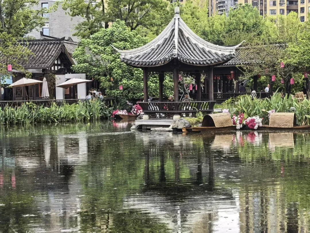 Osmanthus flowers blooming along Tiexiang Temple Water Street in September