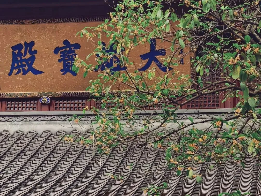 Slow flowing water and leisurely atmosphere at Tiexiang Temple Water Street