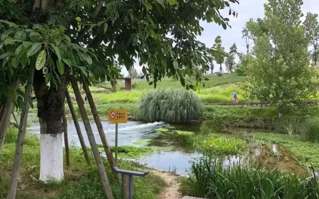 Yima River Park: Chengdu’s 1,700-Mu Autumn Escape