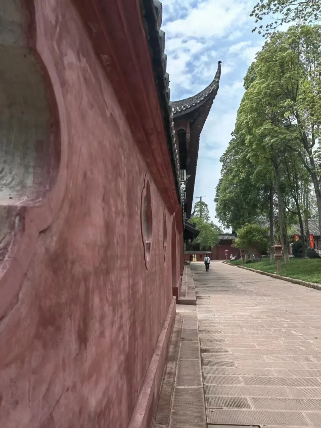 Ancient tree wrapping stone stele, one of the Three Wonders of Zhaojue Temple