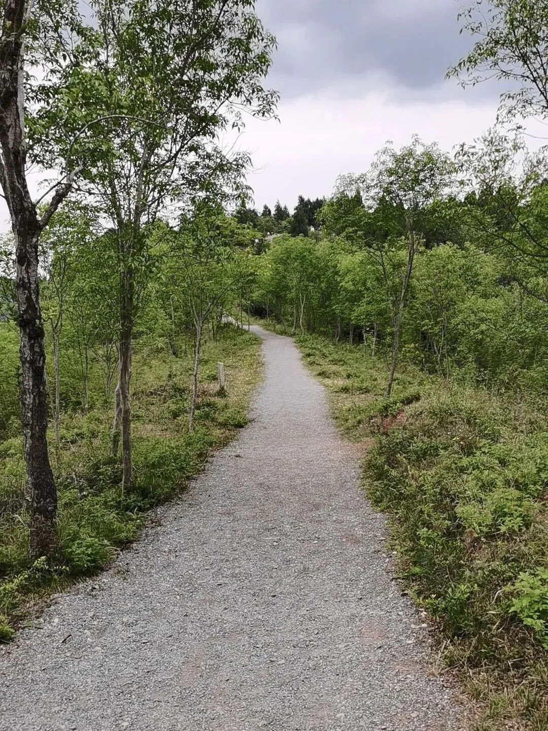 Empty mountain ridge trail with no crowds