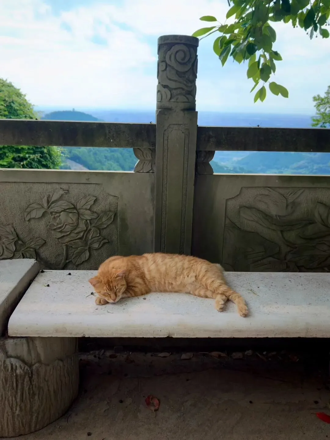 Ginger cat lounging on a stone stool at the monastery