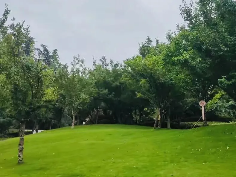 Chengdu’s Quiet Herbal Park: Furong Changjuan Medicine Garden