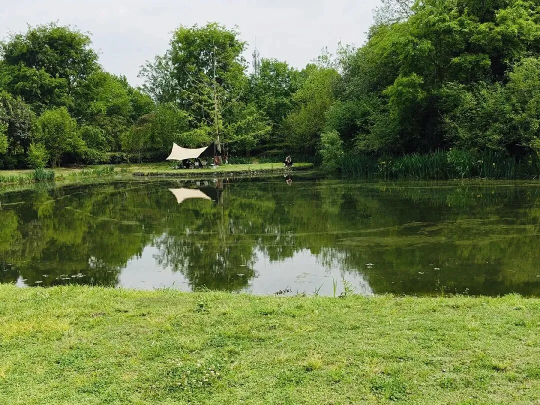 Tent set up on grass facing wetland in the quiet park