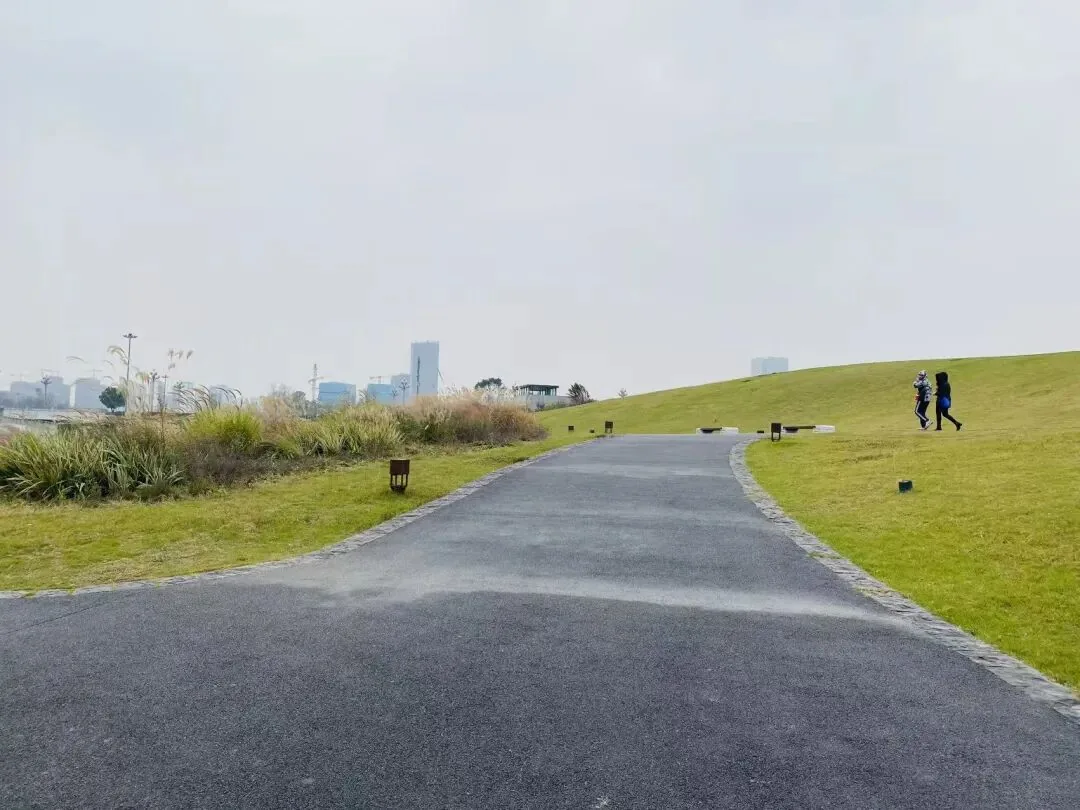 Tianfu Park in Tianfu New Area with paths and greenery