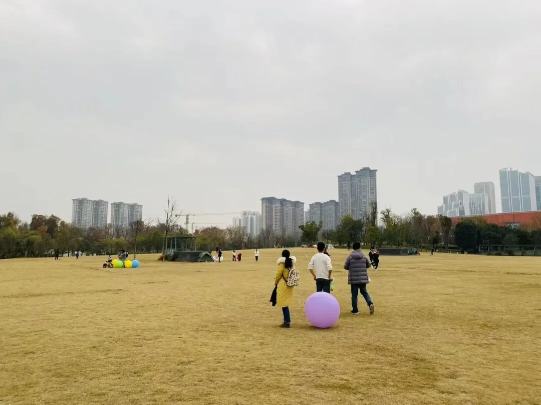 Sports fields including soccer and basketball courts in Tianfu Park