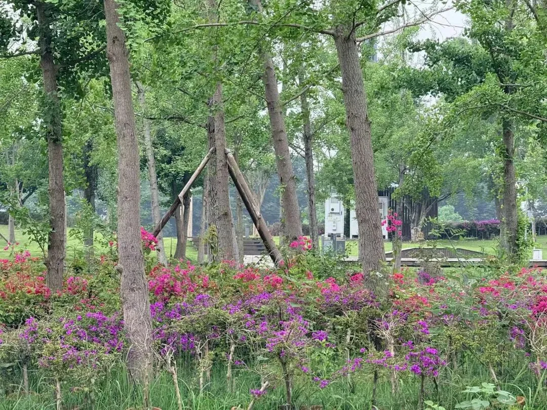 Peaceful landscape of Tianfu Park inviting visitors to enjoy