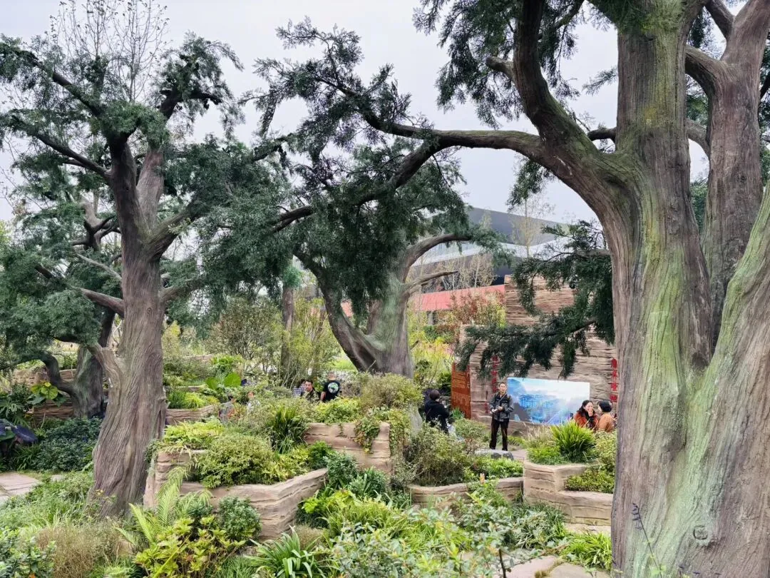 International themed gardens at Chengdu Expo Park including French and Japanese styles