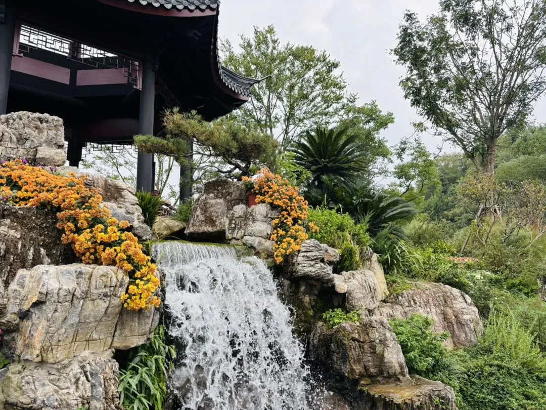 Quiet pathways at Chengdu Expo Park with few visitors