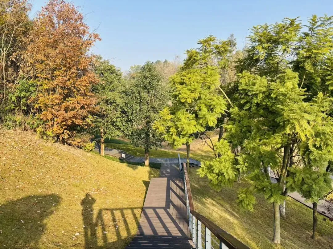 Quiet hillside park beside the popular Xinglong Lake in Chengdu