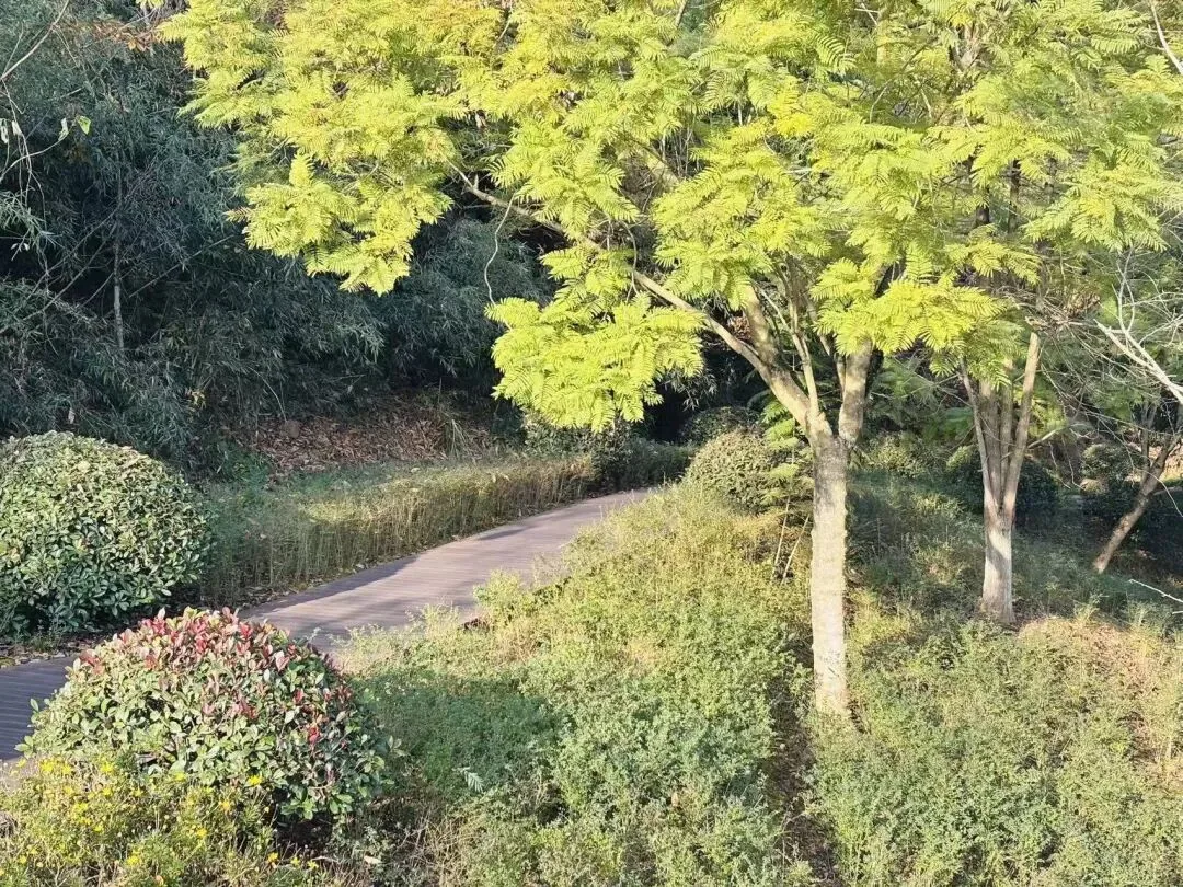Three-kilometer boardwalk trail through the mountain park