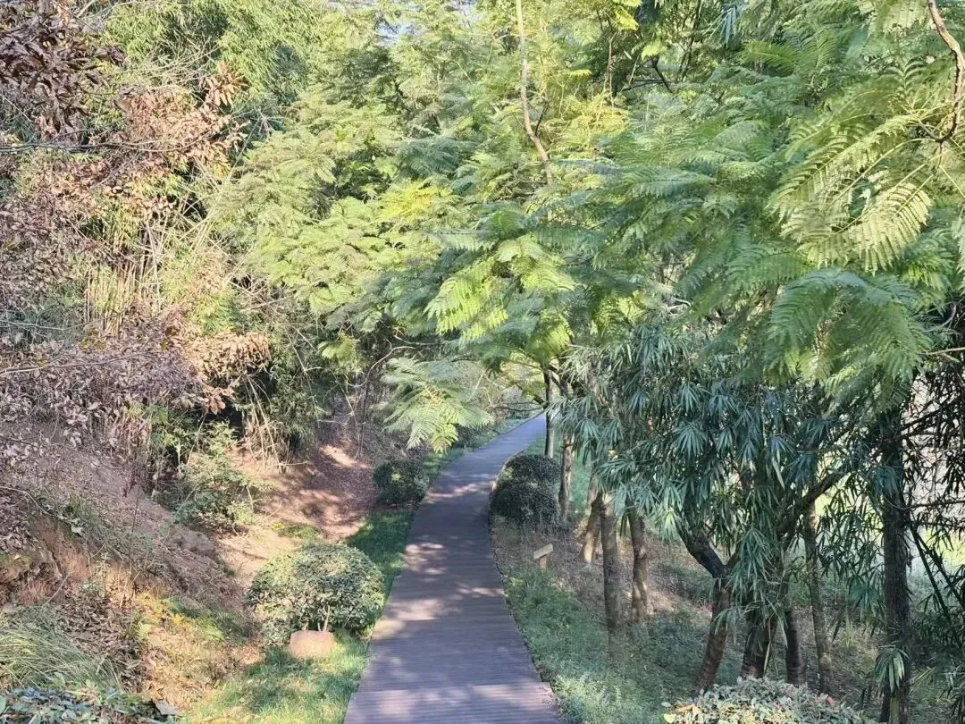 Family-friendly light hike on wooden and stone paths