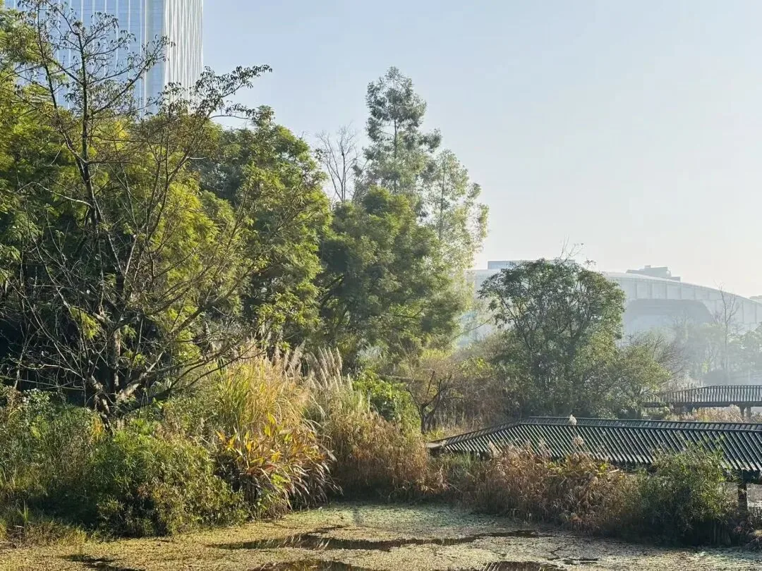 View from Liangfeng Ding where mountain, lake, and self align
