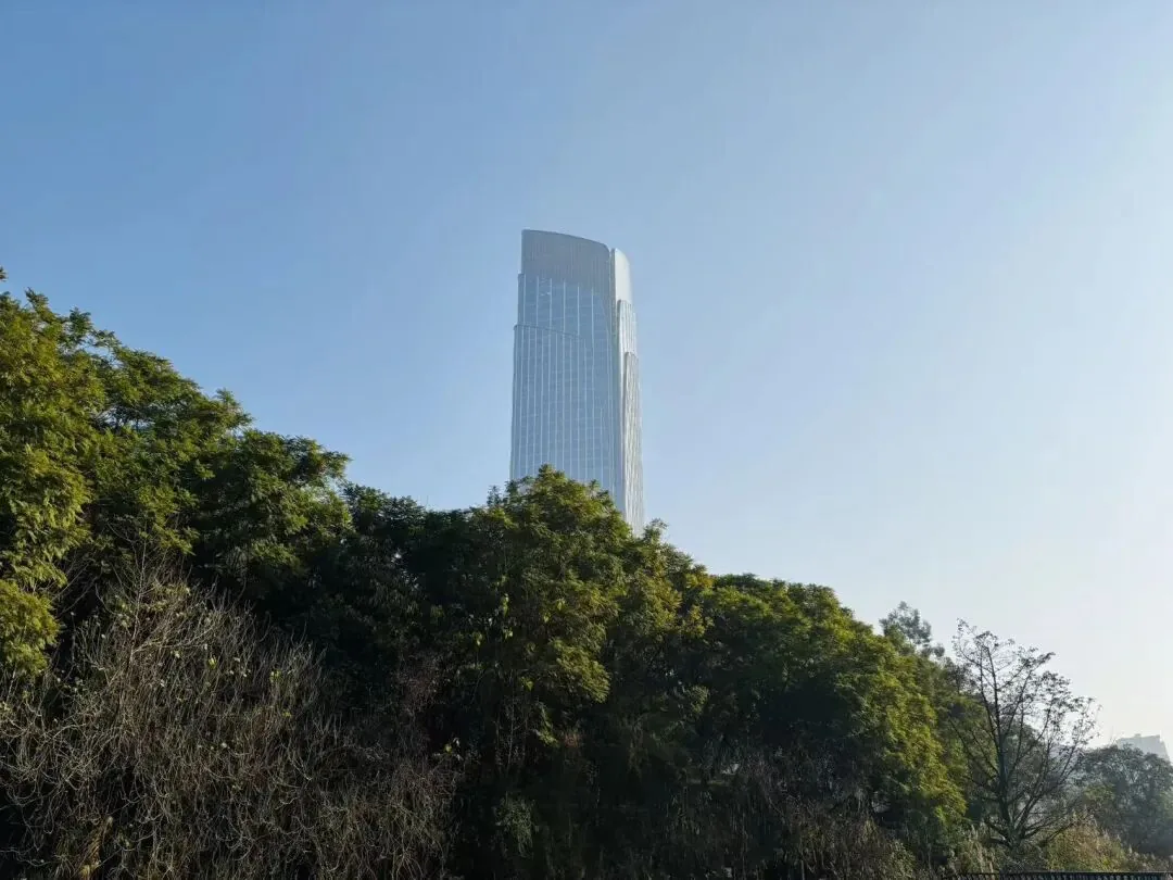 Free natural scenery of breeze, sunlight, and birdsong in the park
