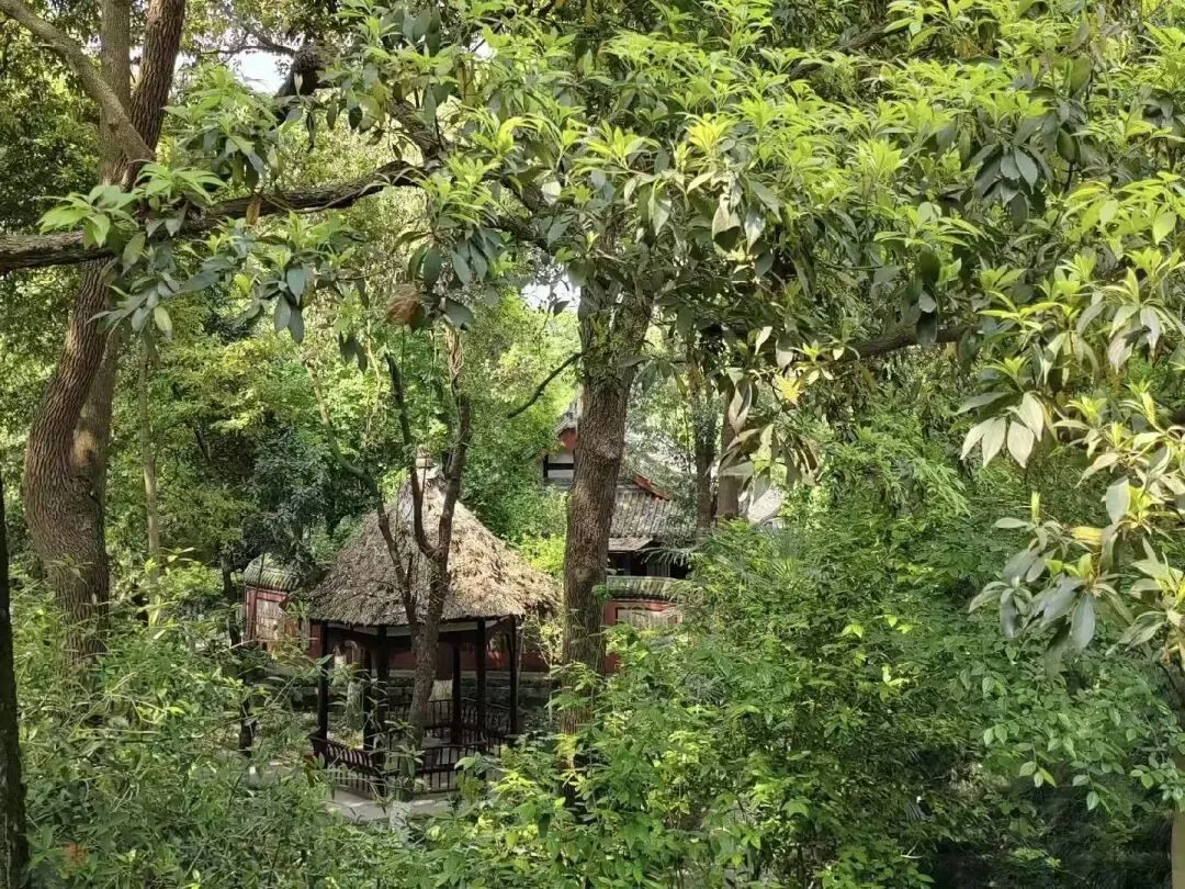 Bat Cliff rockery and pavilion on an island in Xinfan East Lake