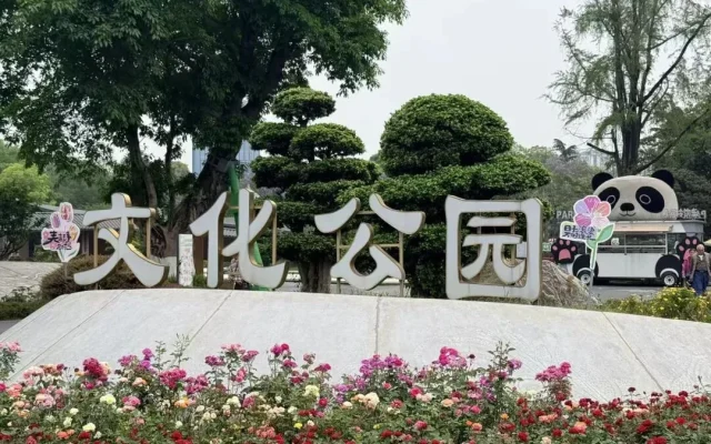 Spider Lilies at Wenhua Park