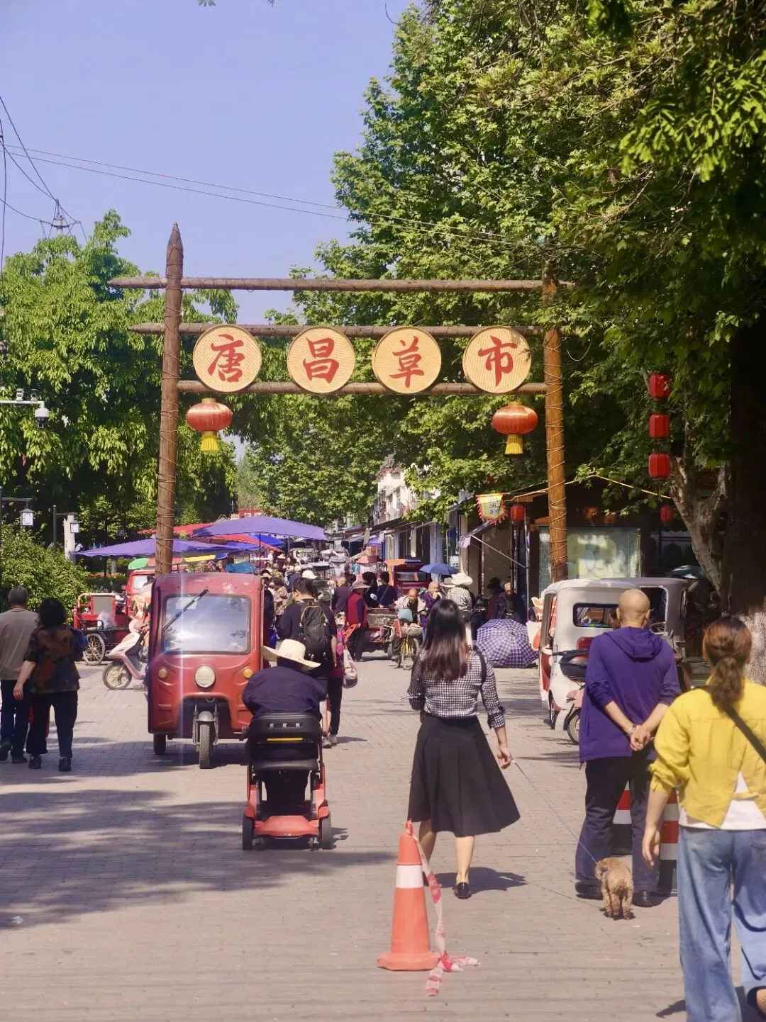 Morning market in Tangchang with baskets of fresh vegetables and local goods