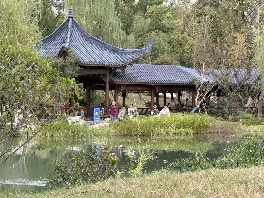 Osmanthus flowers blooming near Qinglong Pond in autumn