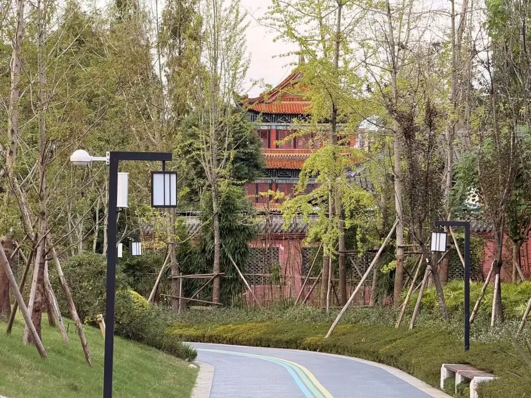 Bamboo grove along outer path with view of Zhaojue Temple bell tower