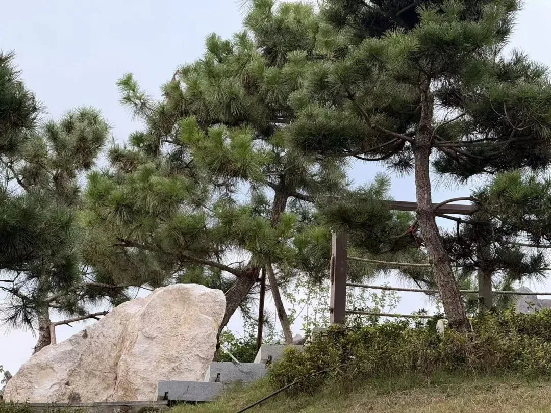 Peaceful scene at Zhaojueli Cultural Waterfront Park in Chengdu