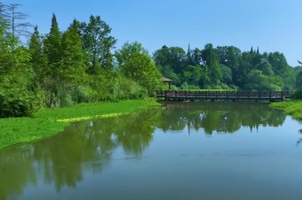Scenic landscape of Qimu River Wetland Park with water and greenery