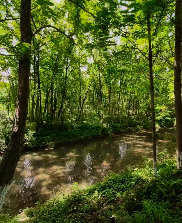 Water system and greenway infrastructure at Qimu River Wetland Park