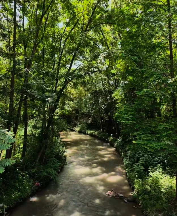 Wetland park scenery in Chengdu where ecology meets economy