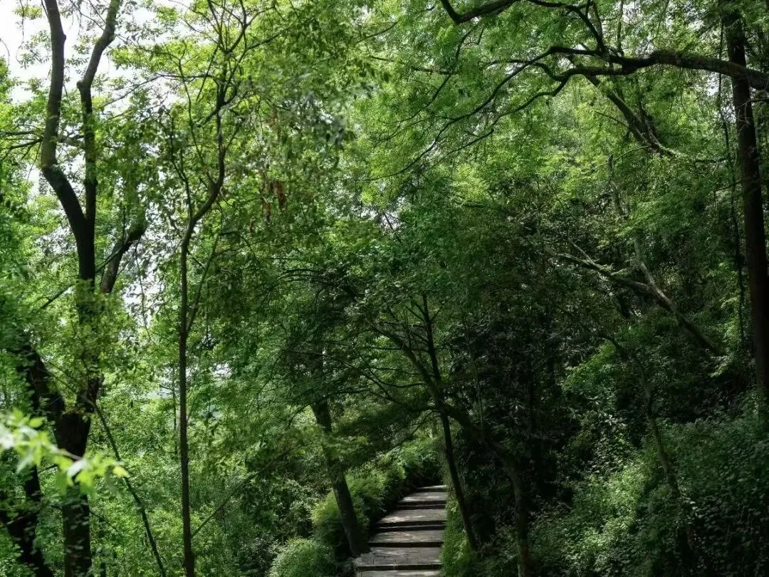 Dujiangyan Chenghuang Miao in Yulei Mountain as seen from below
