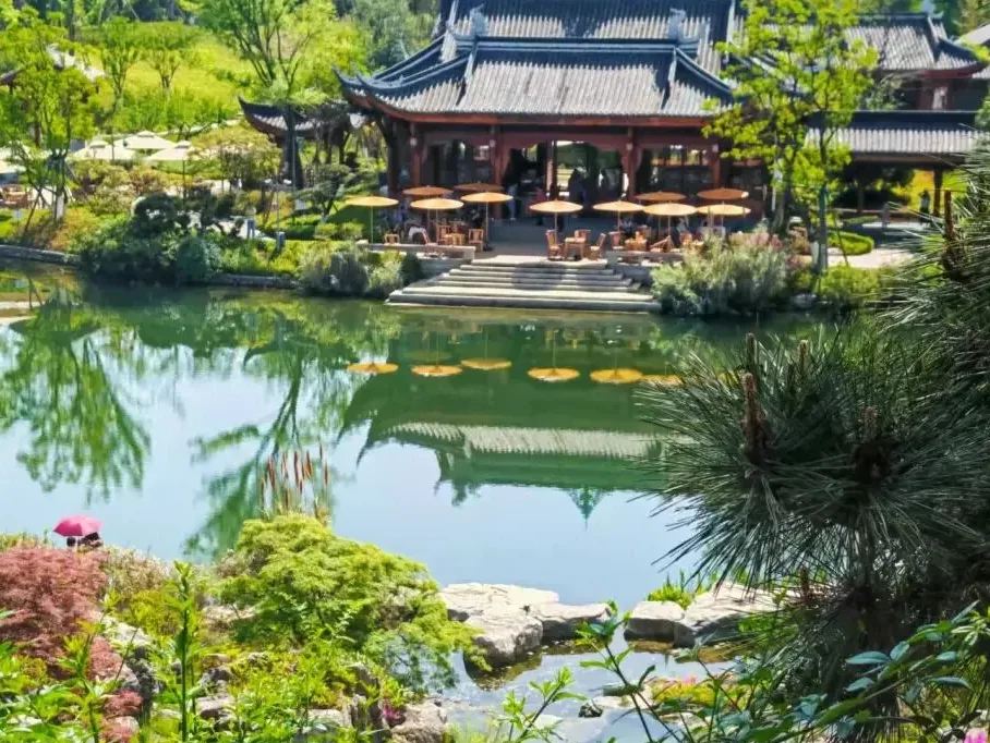 Lakeside teahouse with gaiwan tea at Shuyun Garden
