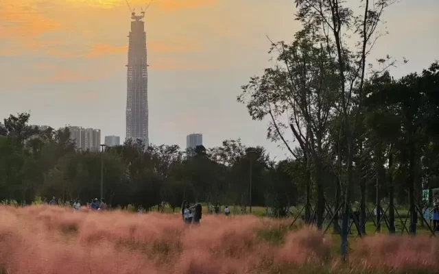 Yushi Wetland Park in September: Pink & Red