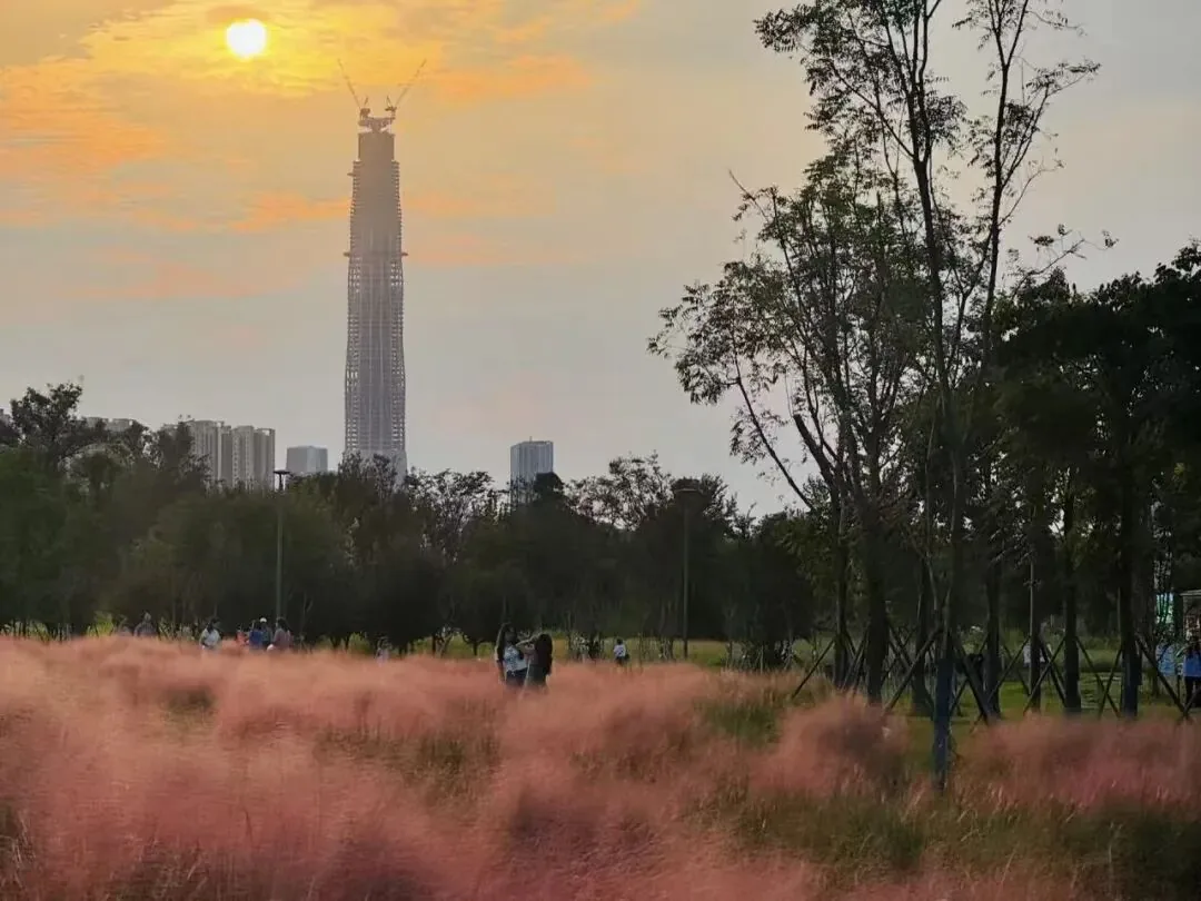 September sky with light clouds over Chengdu's Yushi Wetland Park