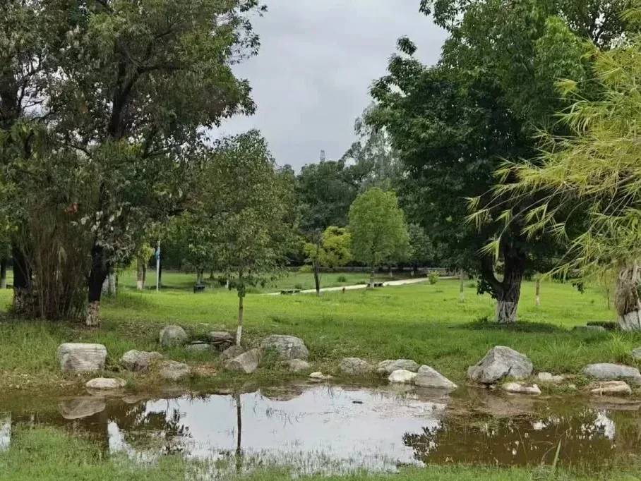 Elegant oriental-style landscape spot inside Yushi Wetland Park