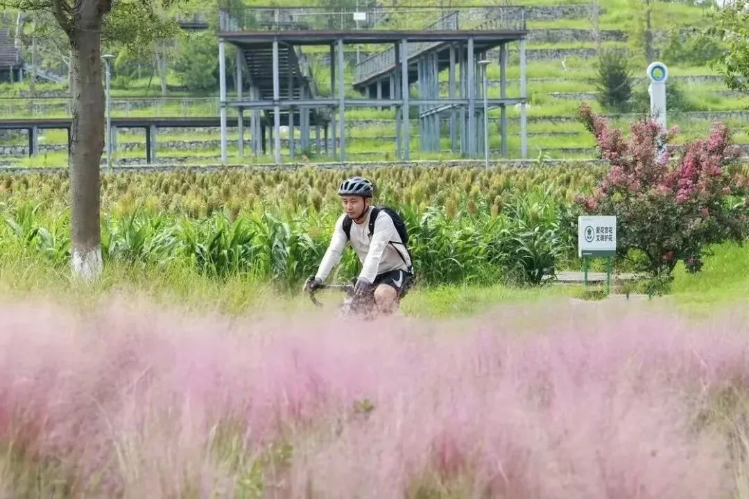 Cyclist riding along greenway path in Yushi Wetland Park