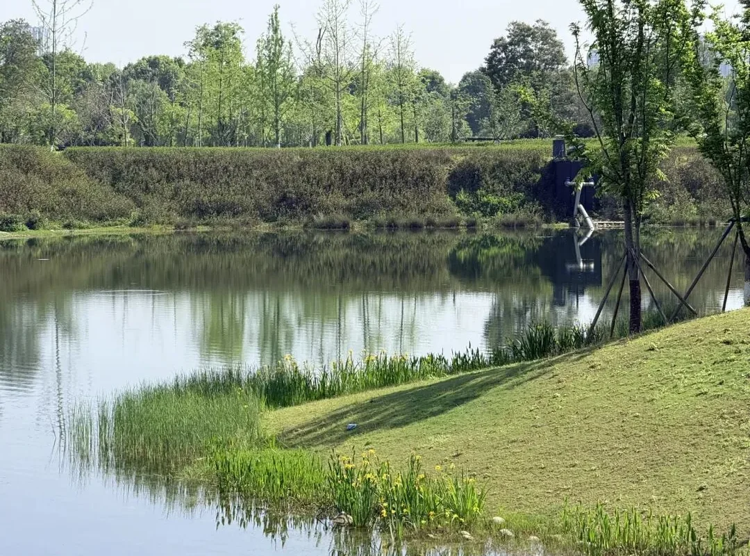 Shuyun Garden: Hidden Classical Park in West Chengdu