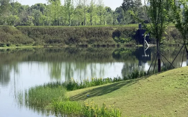 Shuyun Garden: Hidden Classical Park in West Chengdu