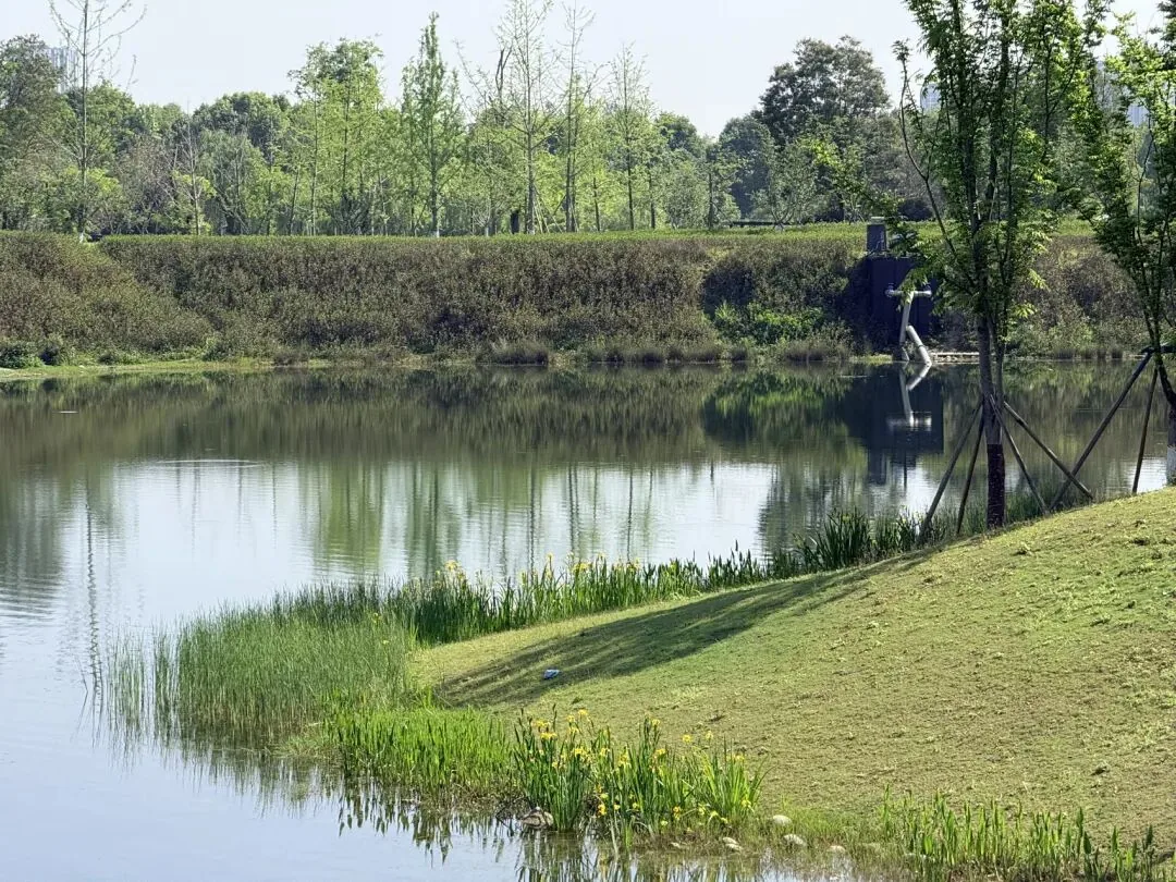 Park scenery in Chengdu's Pidu District with greenery and new parkland