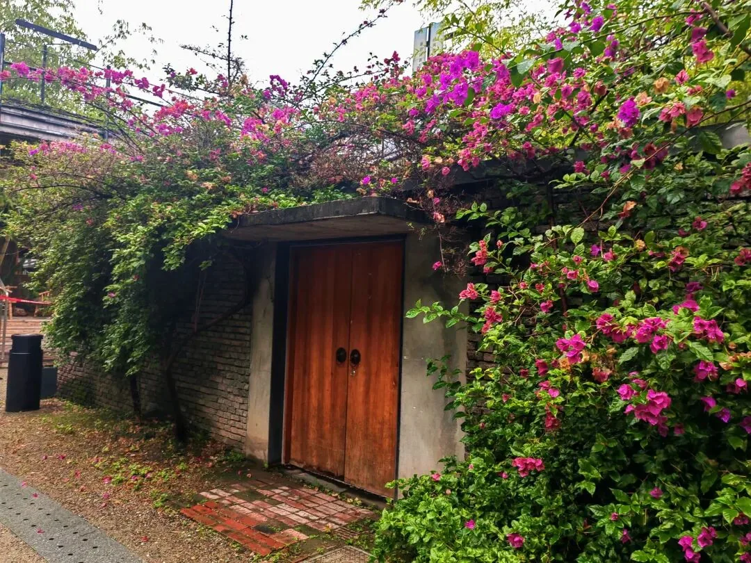Tea and coffee culture in the artsy teahouses of West Village Chengdu