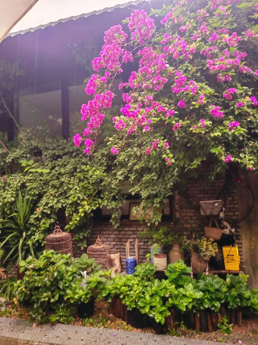 Lush bamboo and plants against raw concrete walls at West Village